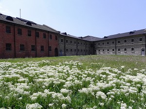 s-20120514 ryojyun (21).jpg